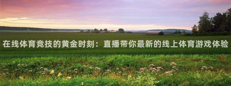 在线体育竞技的黄金时刻：直播带你最新的线上体育游戏体验