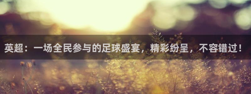 英超：一场全民参与的足球盛宴，精彩纷呈，不容错过！