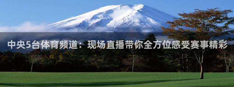 中央5台体育频道：现场直播带你全方位感受赛事精彩