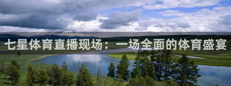 七星体育直播现场：一场全面的体育盛宴