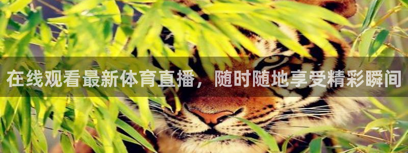在线观看最新体育直播，随时随地享受精彩瞬间