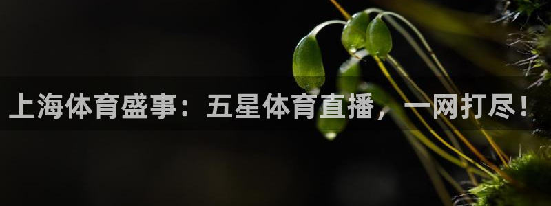 上海体育盛事：五星体育直播，一网打尽！