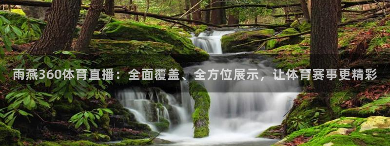 雨燕360体育直播：全面覆盖、全方位展示，让体育赛事更精彩