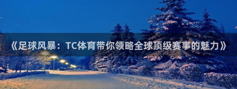 《足球风暴：TC体育带你领略全球顶级赛事的魅力》