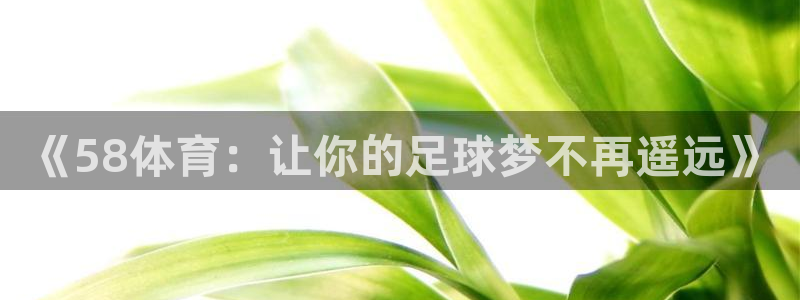 《58体育：让你的足球梦不再遥远》
