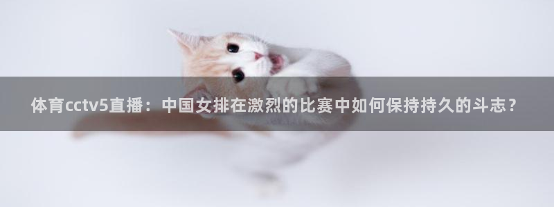 体育cctv5直播：中国女排在激烈的比赛中如何保持持久的斗志？