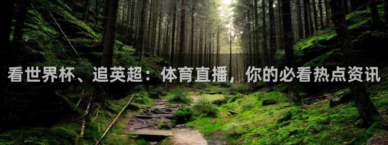 看世界杯、追英超：体育直播，你的必看热点资讯