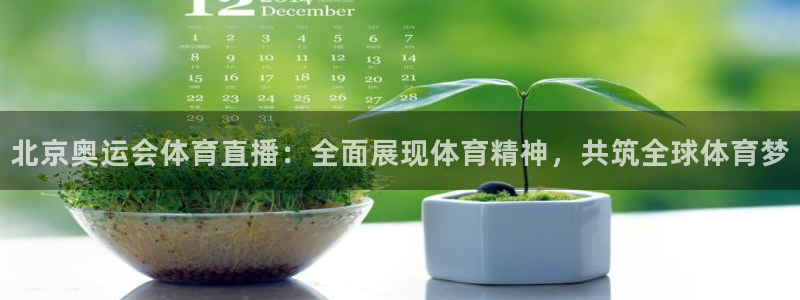 北京奥运会体育直播：全面展现体育精神，共筑全球体育梦