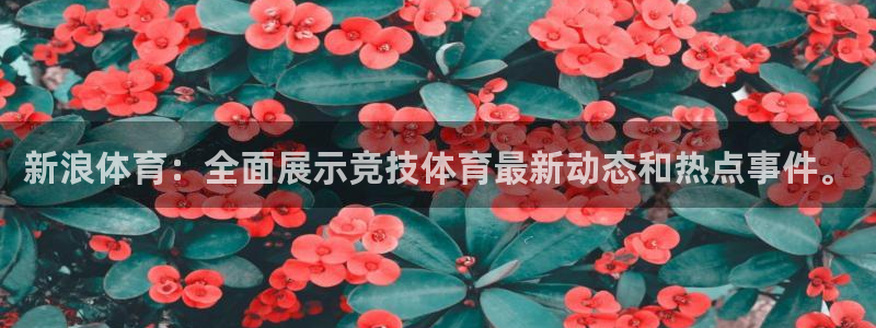 新浪体育：全面展示竞技体育最新动态和热点事件。