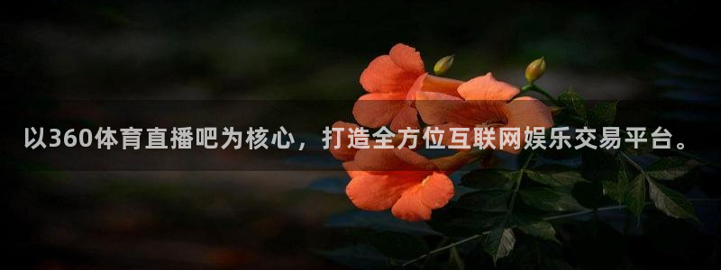 以360体育直播吧为核心，打造全方位互联网娱乐交易平台。
