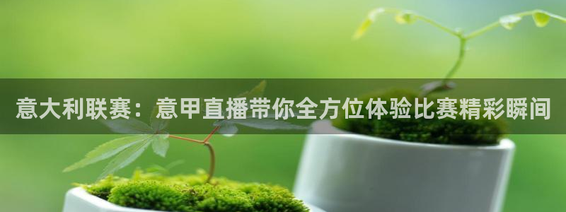 意大利联赛：意甲直播带你全方位体验比赛精彩瞬间