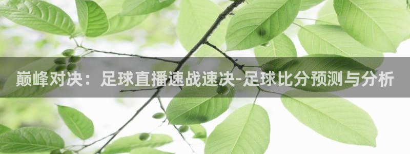 巅峰对决：足球直播速战速决-足球比分预测与分析