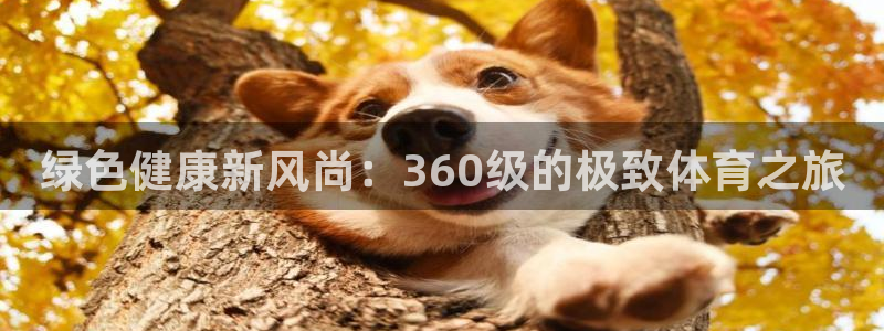 绿色健康新风尚：360级的极致体育之旅