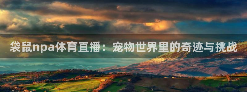袋鼠npa体育直播：宠物世界里的奇迹与挑战