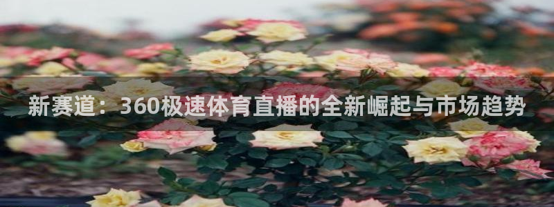 新赛道：360极速体育直播的全新崛起与市场趋势