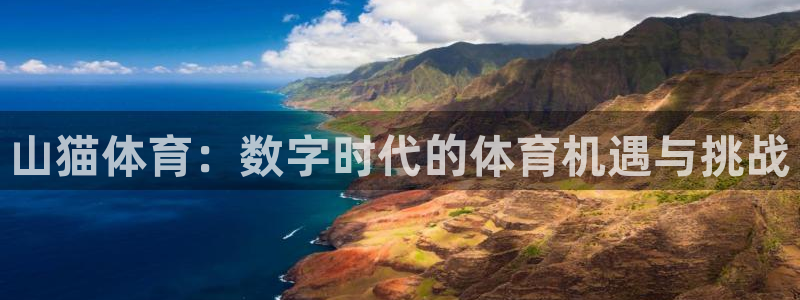 山猫体育：数字时代的体育机遇与挑战